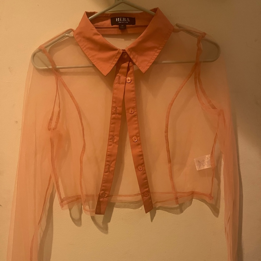 Hera collection sheer blush crop blouse
